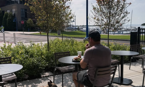 A man eats at an outdoor café table on a waterfront patio while his French Bulldog waits beside him, marina and boats visible in the background.